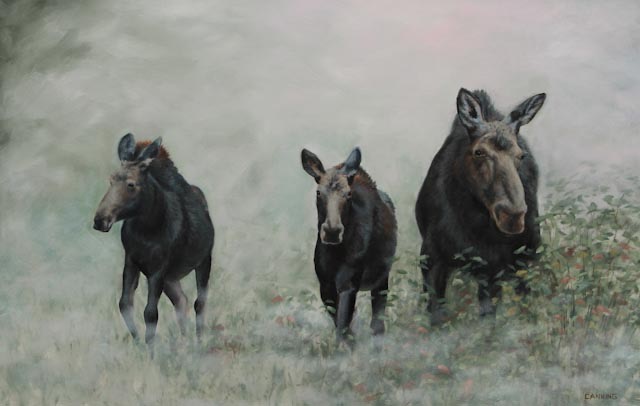 Morning Mist and Moose Family 26 x 40 Oil on Panel
