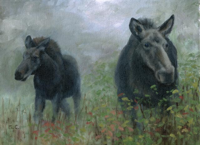 Morning Mist and Moose Family 9x12 Oil on Canvas_